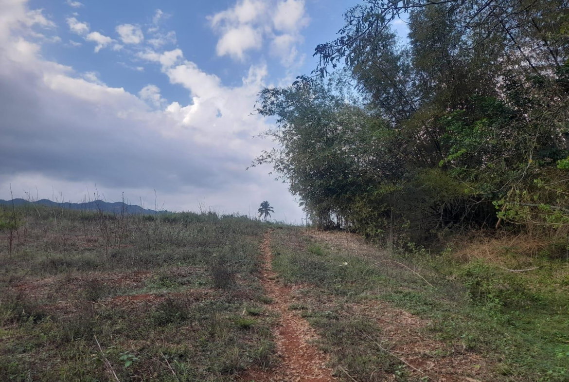 Second image of Lot 7 Part of Palms Plantation in Linstead, St. Catherine, Jamaica - property is For Sale
