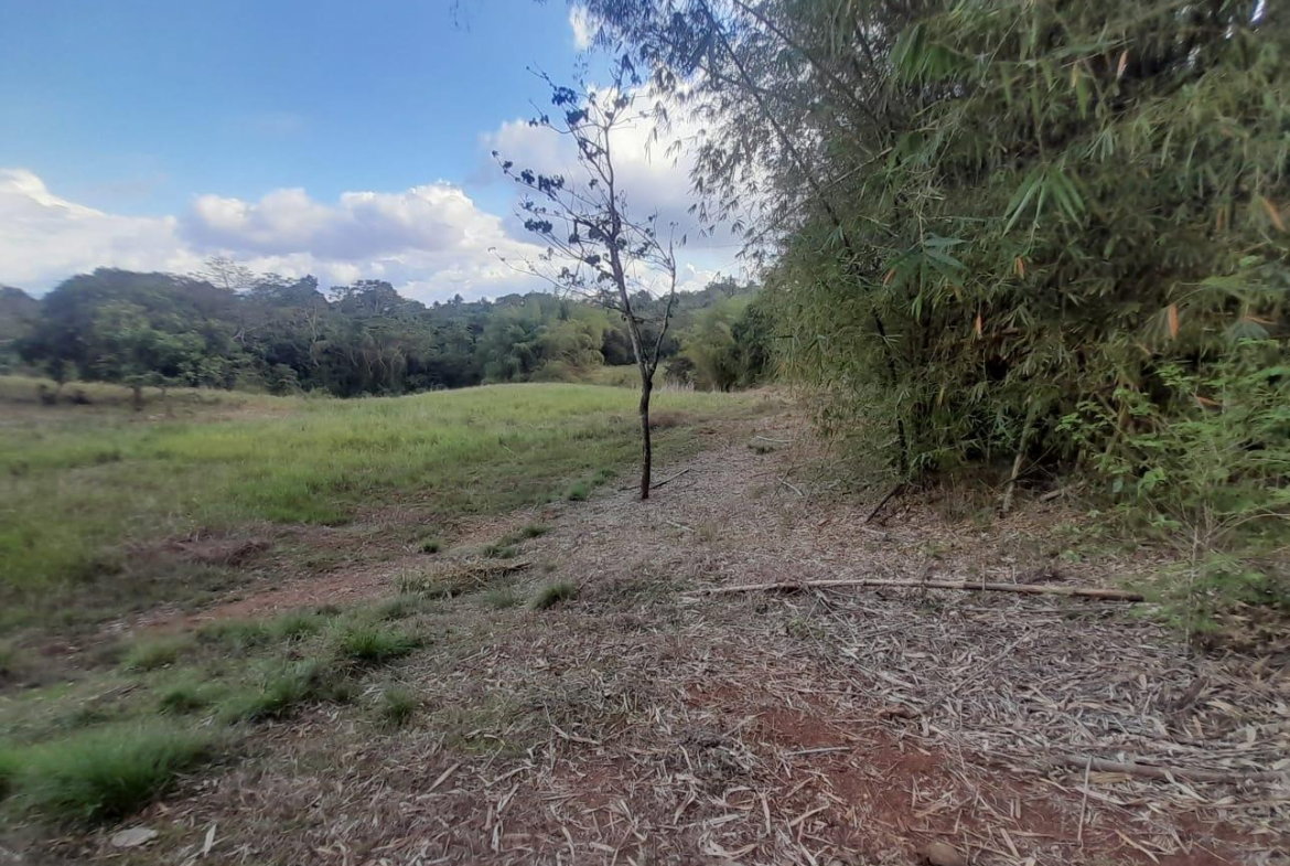 Third image of Lot 7 Part of Palms Plantation in Linstead, St. Catherine, Jamaica - property is For Sale