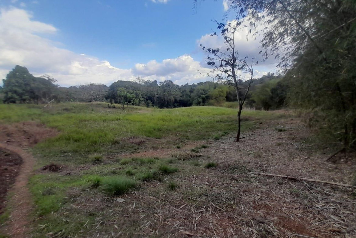 Fifth image of Lot 7 Part of Palms Plantation in Linstead, St. Catherine, Jamaica - property is For Sale