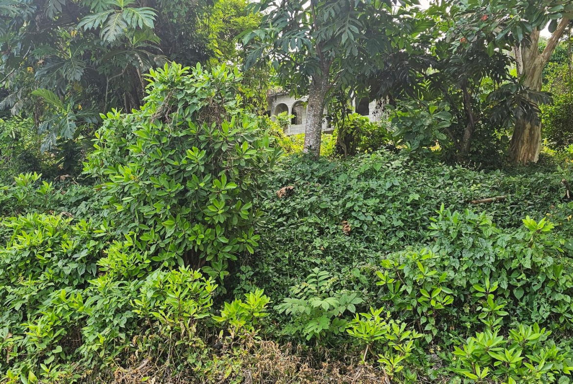 Eleventh image of Wydah Portland in St. Margaret's Bay, Portland, Jamaica - property is For Sale