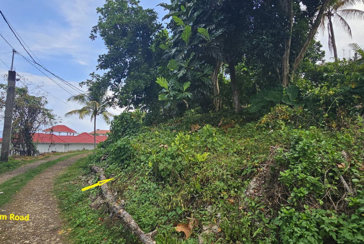 Third image of Wydah Portland in St. Margaret's Bay, Portland, Jamaica - property is For Sale