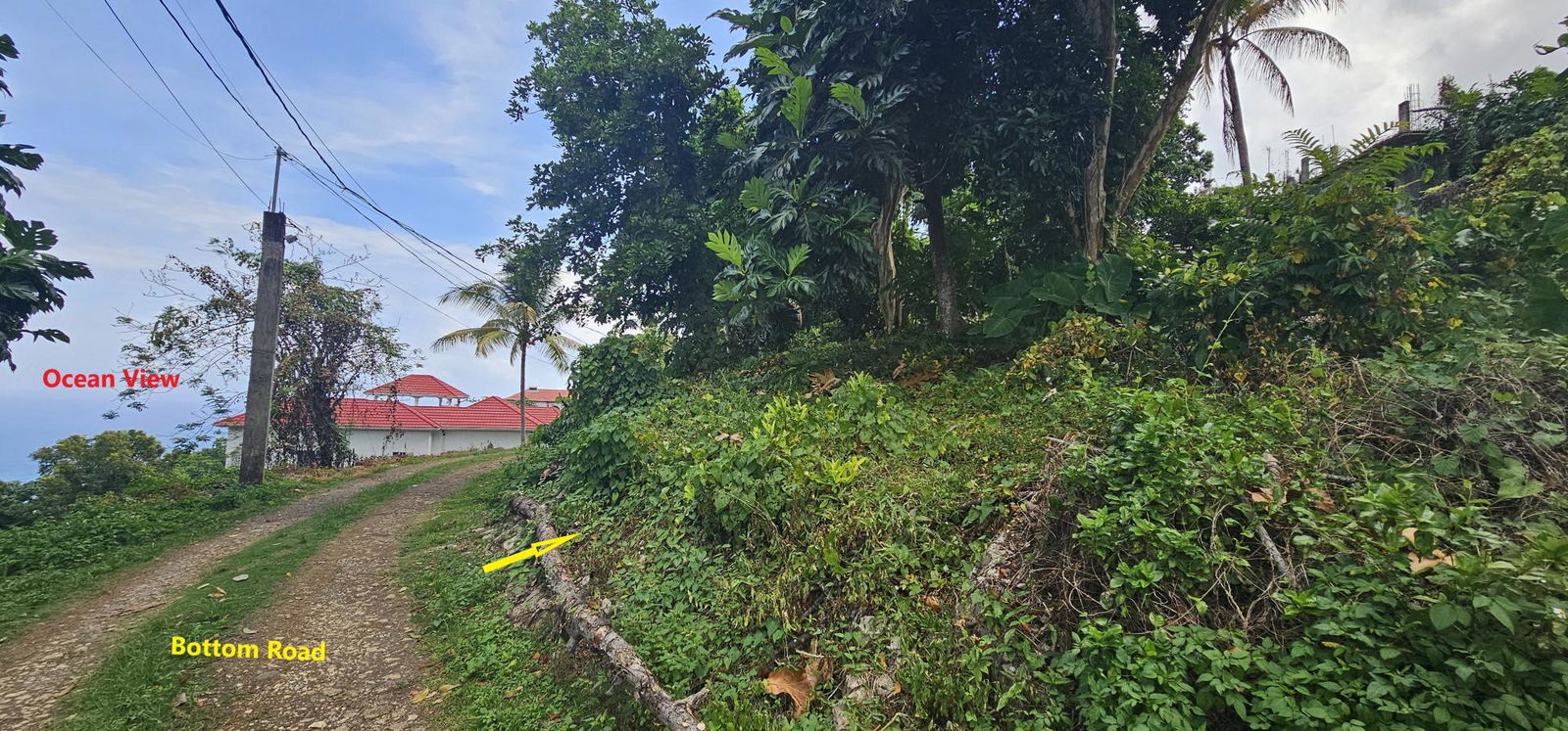 Scenic-1.25-Acre-Residential-Lot-for-Sale-in-Wydah-Portland-Jamaica Third image of Wydah Portland in St. Margaret's Bay, Portland, Jamaica - property is For Sale