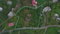 First image of Wydah Portland in St. Margaret's Bay, Portland, Jamaica - property is For Sale