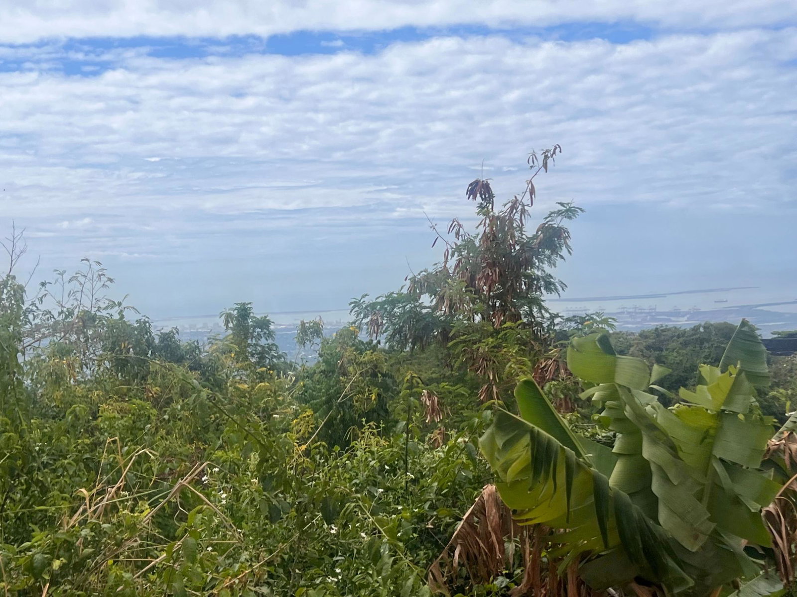 Fourth image of Lot 40- Marverly Mountain, Red hi in Red Hills, St. Andrew, Jamaica - property is For Sale