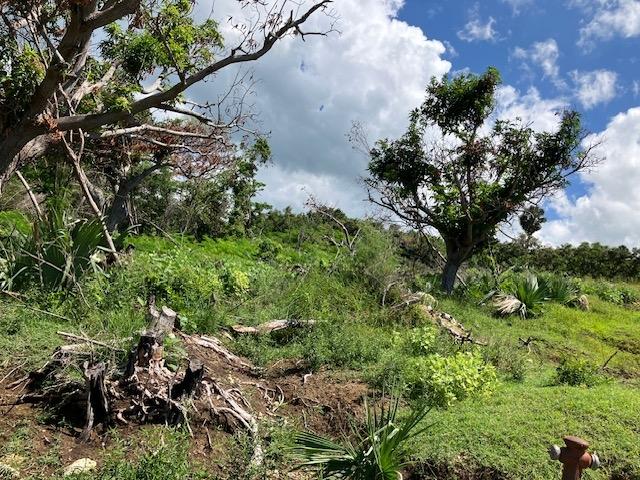 Second image of Lot 177 Culloden, White House Wes in WHITEHOUSE, Westmoreland, Jamaica - property is For Sale