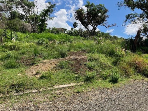 Fourth image of Lot 177 Culloden, White House Wes in WHITEHOUSE, Westmoreland, Jamaica - property is For Sale