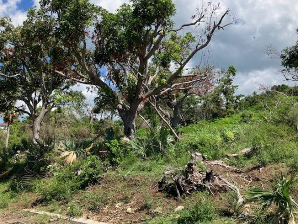 First image of Lot 177 Culloden, White House Wes in WHITEHOUSE, Westmoreland, Jamaica - property is For Sale