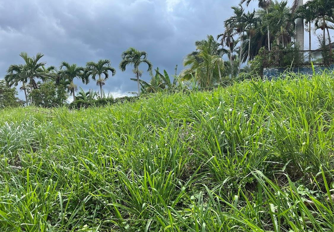 Fourth image of 27 Gordon Heights in Mandeville, Manchester, Jamaica - property is For Sale