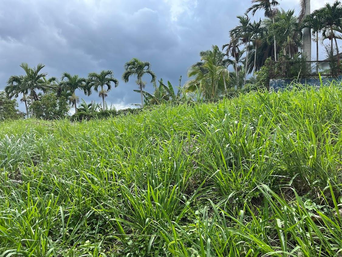 Fourth image of 27 Gordon Heights in Mandeville, Manchester, Jamaica - property is For Sale