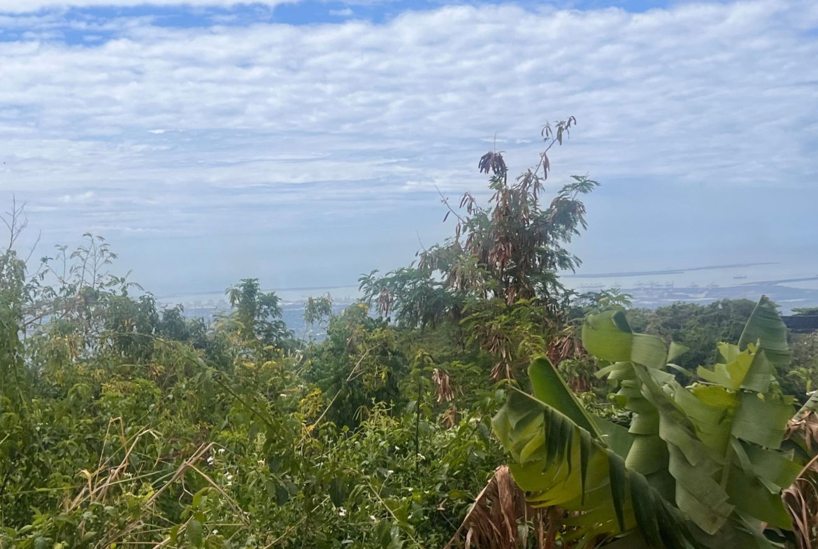 Fourth image of Lot 3- Marverly Mountain, Red hi in Red Hills, St. Andrew, Jamaica - property is For Sale