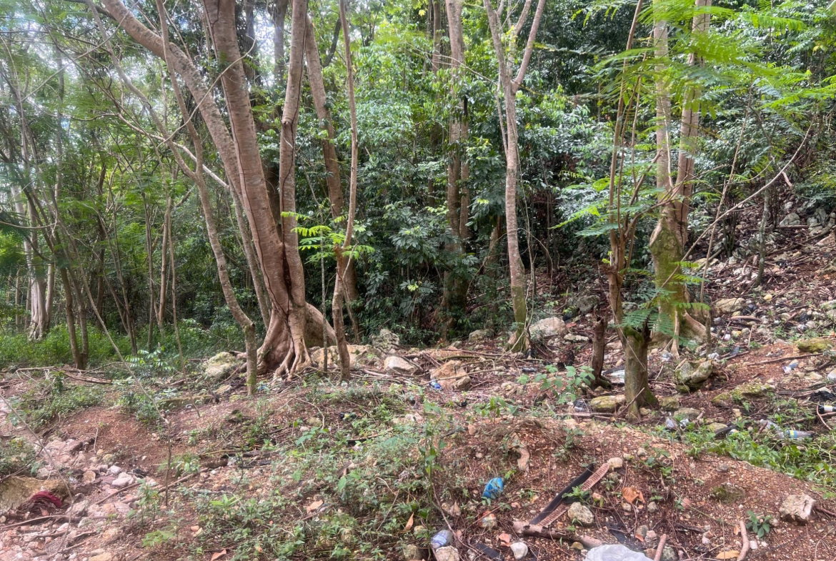 Fifth image of Lot 3- Marverly Mountain, Red hi in Red Hills, St. Andrew, Jamaica - property is For Sale