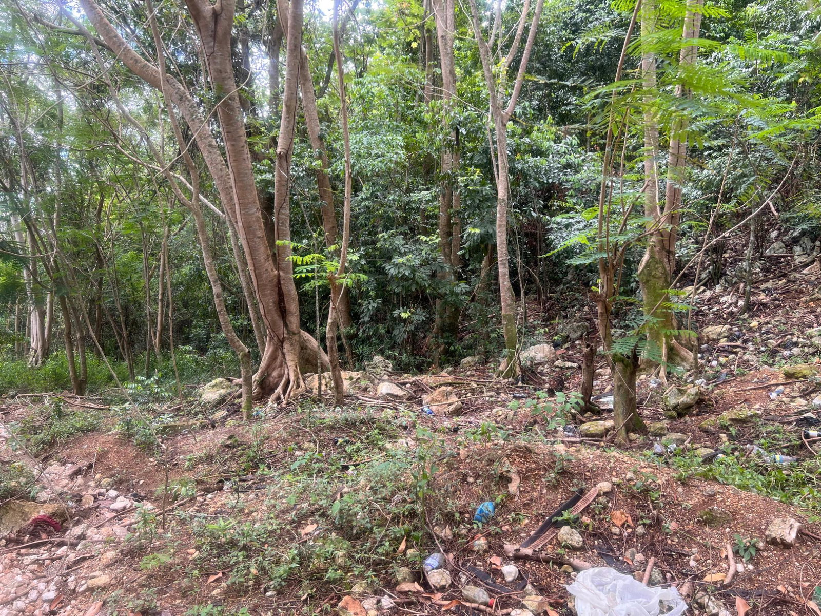 Fifth image of Lot 3- Marverly Mountain, Red hi in Red Hills, St. Andrew, Jamaica - property is For Sale