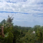 First image of Lot 2- Marverly Mountain, Red hi in Red Hills, St. Andrew, Jamaica - property is For Sale