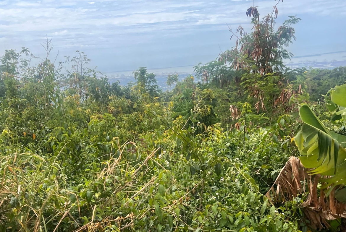 Third image of Lot 2- Marverly Mountain, Red hi in Red Hills, St. Andrew, Jamaica - property is For Sale
