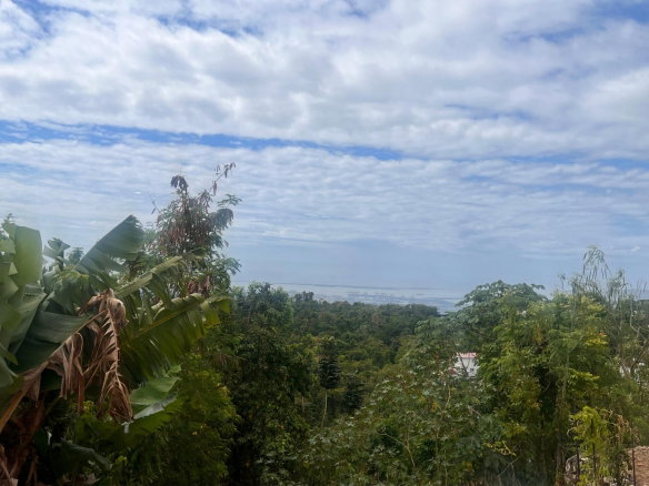 First image of Lot 5- Marverly Mountain, Red hi in Red Hills, St. Andrew, Jamaica - property is For Sale