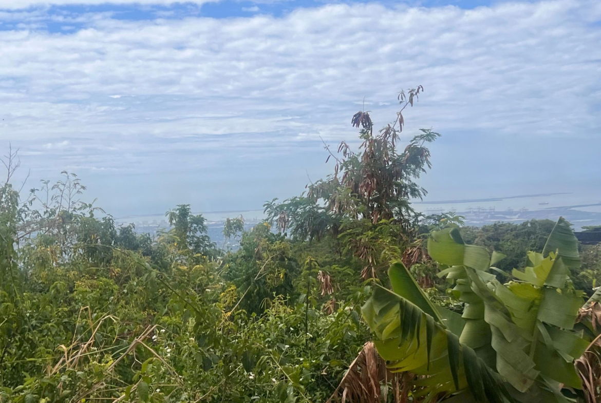 Fourth image of Lot 2- Marverly Mountain, Red hi in Red Hills, St. Andrew, Jamaica - property is For Sale