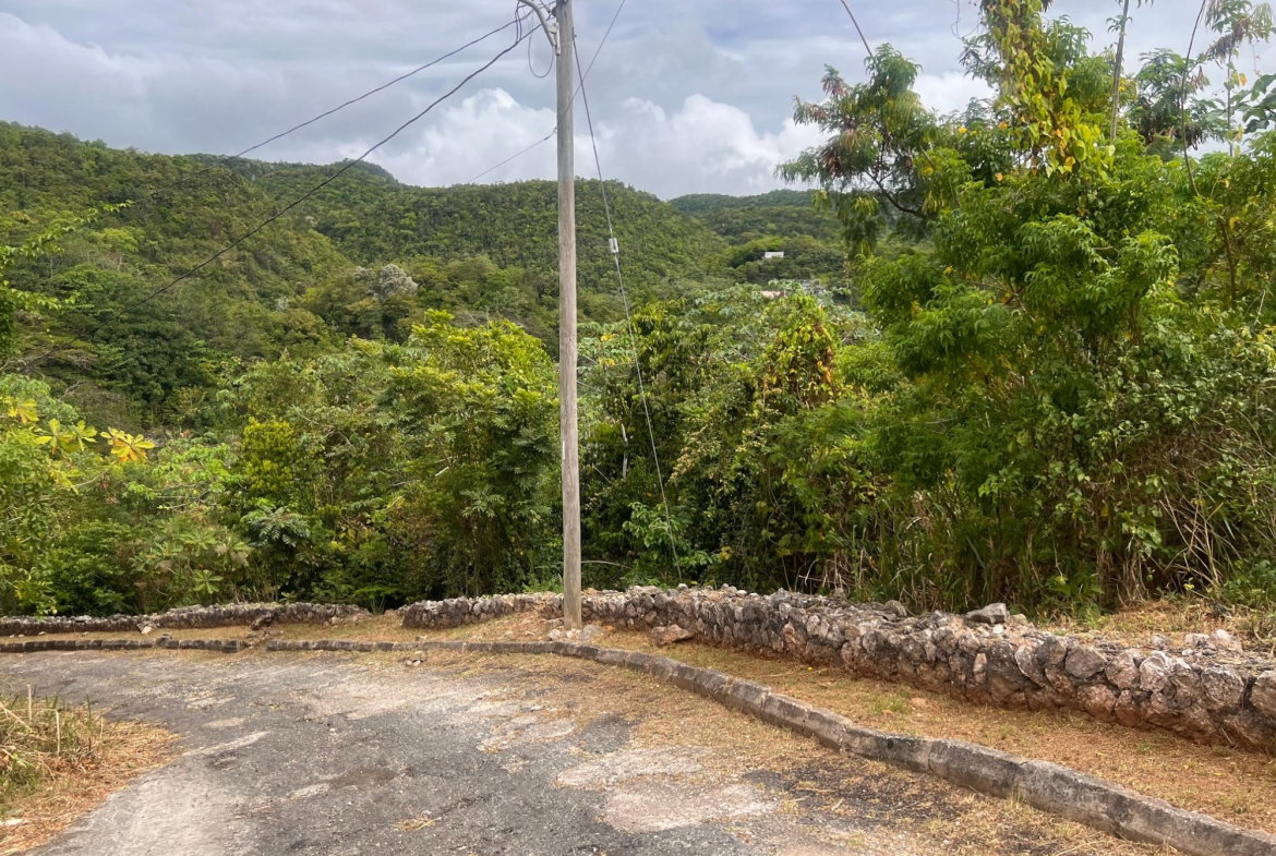 Second image of Lot 3- Marverly Mountain, Red hi in Red Hills, St. Andrew, Jamaica - property is For Sale
