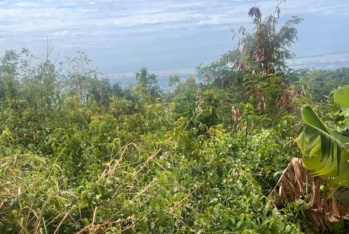 Third image of Lot 3- Marverly Mountain, Red hi in Red Hills, St. Andrew, Jamaica - property is For Sale