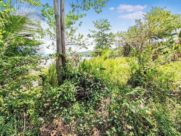 Eighth image of Roundhill, Hopewell P.o. in Montego Bay, St. James, Jamaica - property is For Sale