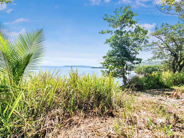 Ninth image of Roundhill, Hopewell P.o. in Montego Bay, St. James, Jamaica - property is For Sale