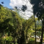 First image of Arthur Leon Drive, in Kingston 9, St. Andrew, Jamaica - property is For Sale