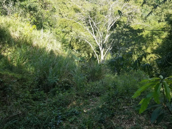 Third image of Arthur Leon Drive, in Kingston 9, St. Andrew, Jamaica - property is For Sale