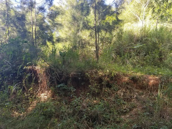 Fifth image of Arthur Leon Drive, in Kingston 9, St. Andrew, Jamaica - property is For Sale