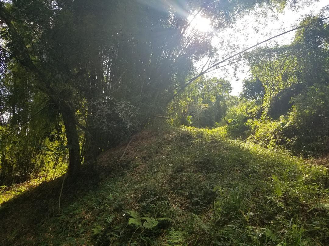 Sixth image of Arthur Leon Drive, in Kingston 9, St. Andrew, Jamaica - property is For Sale