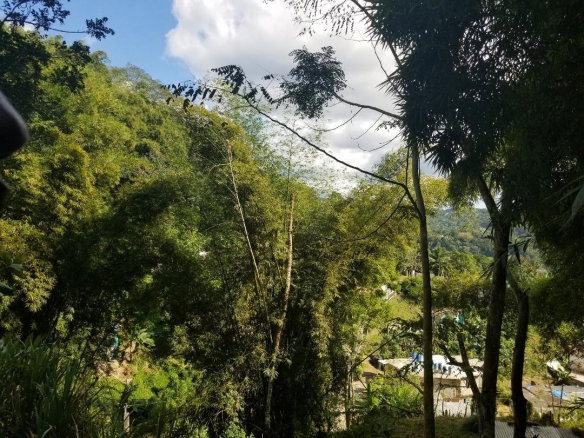 First image of Arthur Leon Drive, in Kingston 9, St. Andrew, Jamaica - property is For Sale