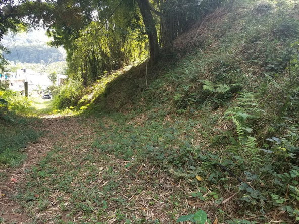 Seventh image of Arthur Leon Drive, in Kingston 9, St. Andrew, Jamaica - property is For Sale