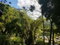 First image of Arthur Leon Drive, in Kingston 9, St. Andrew, Jamaica - property is For Sale