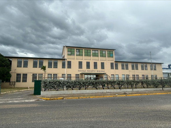 Third image of Ua-10 South Avenue in Kingston 4, Kingston, Jamaica - property is For Rent