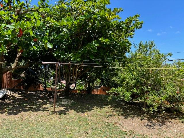 Eighth image of 601 Rhyne Park in SPOT VALLEY, St. James, Jamaica - property is For Rent