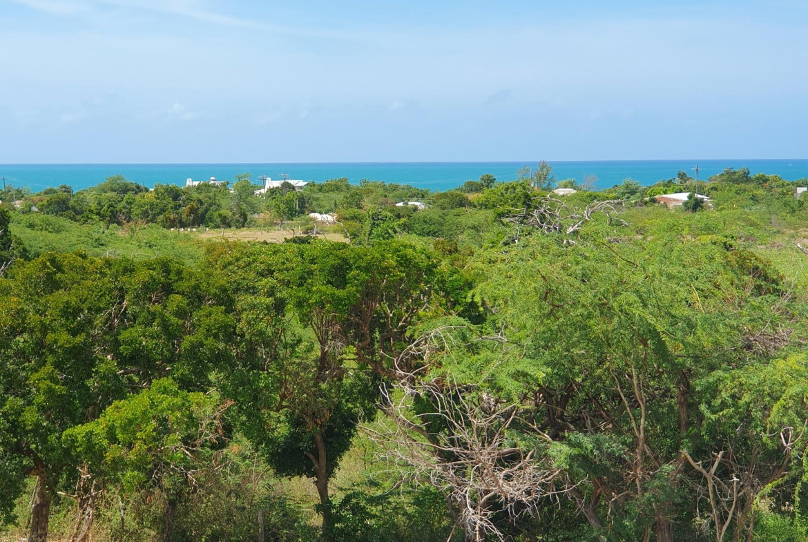 Second image of Billy's Bay in Treasure Beach, St. Elizabeth, Jamaica - property is For Sale