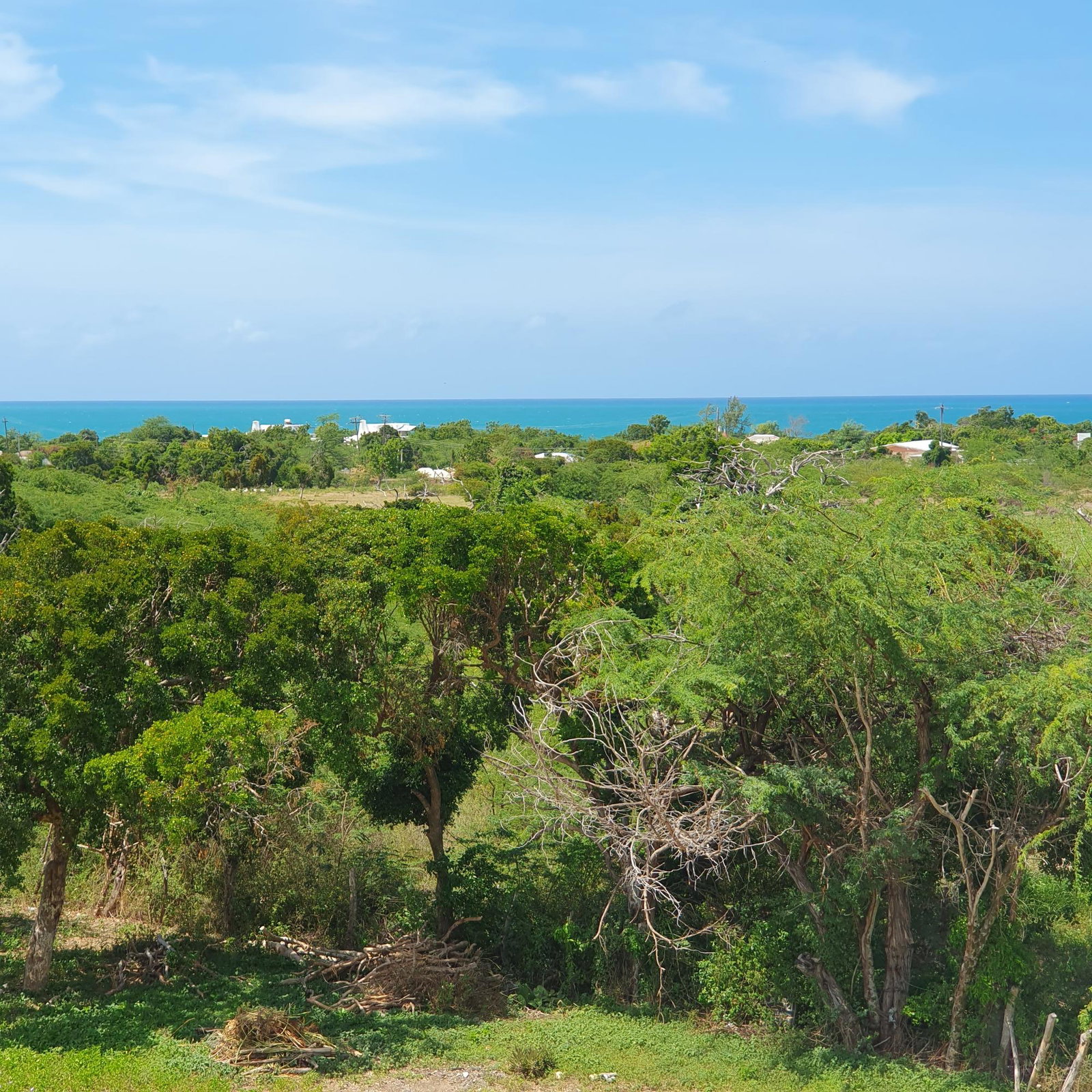 Second image of Billy's Bay in Treasure Beach, St. Elizabeth, Jamaica - property is For Sale