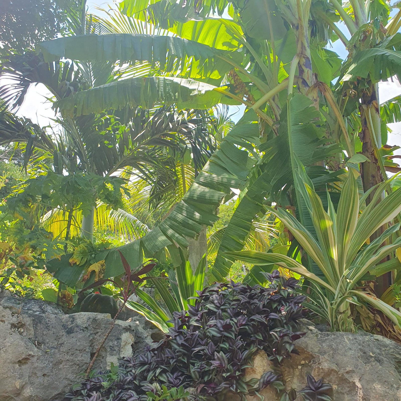 Fourteenth image of Billy's Bay in Treasure Beach, St. Elizabeth, Jamaica - property is For Sale