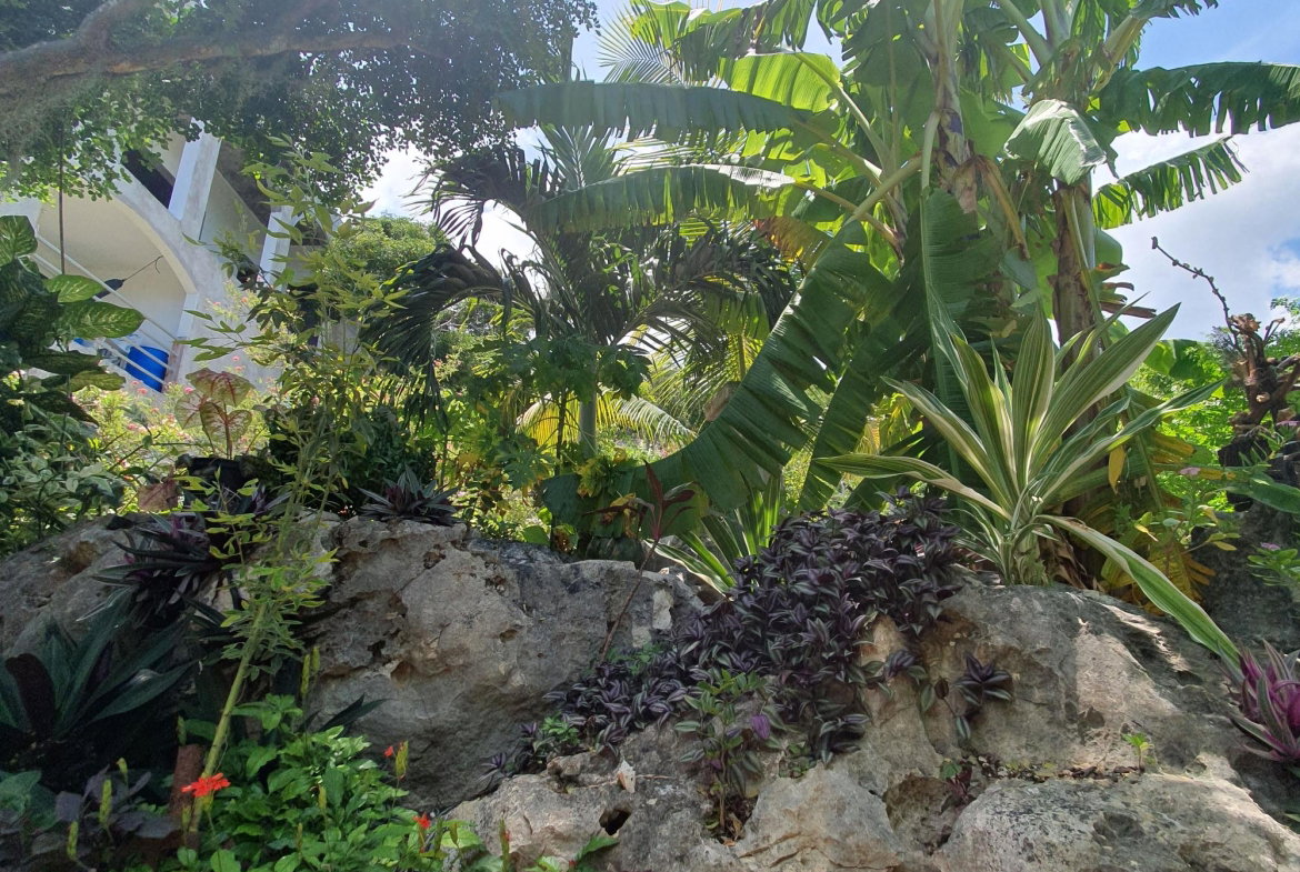 Fifteenth image of Billy's Bay in Treasure Beach, St. Elizabeth, Jamaica - property is For Sale