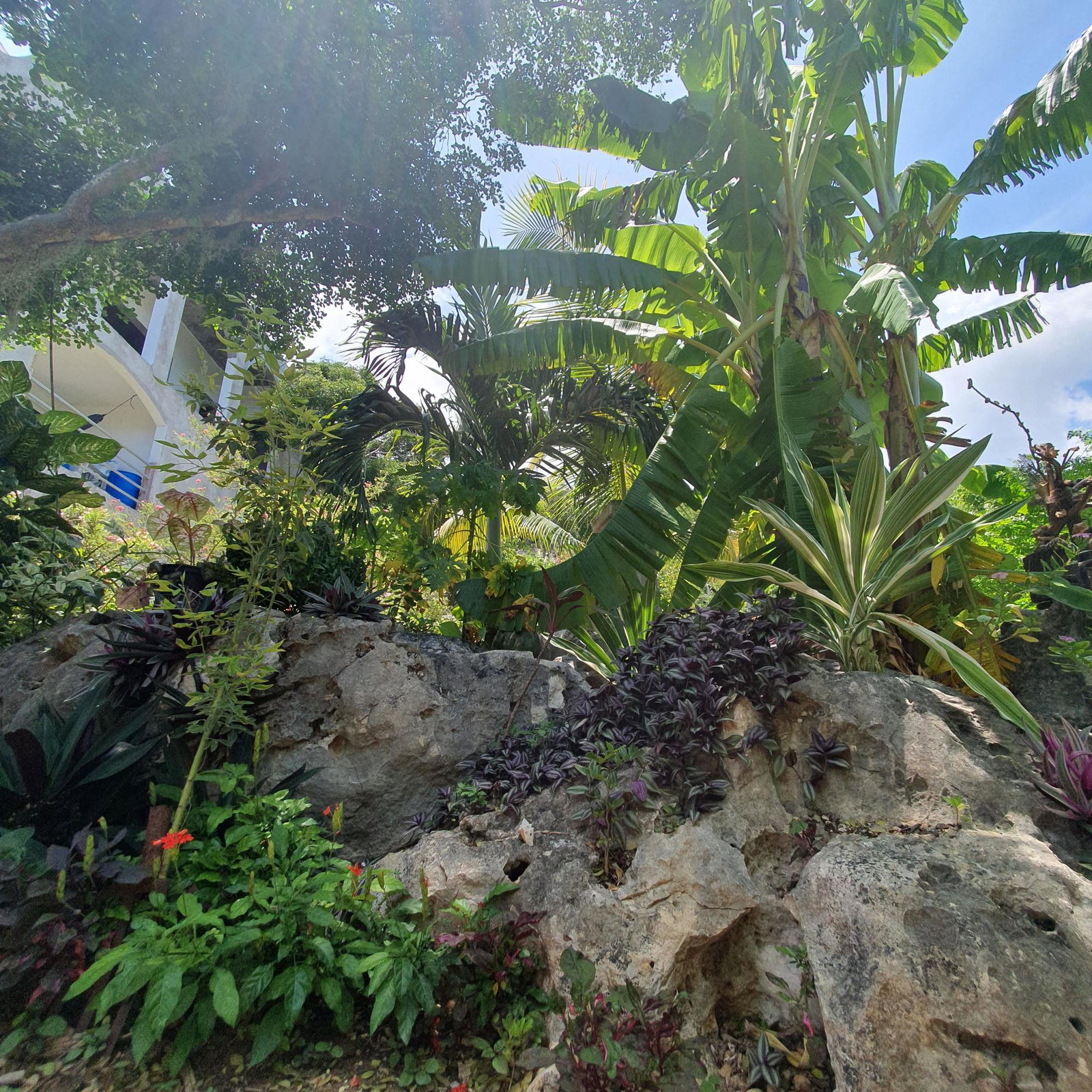 Fifteenth image of Billy's Bay in Treasure Beach, St. Elizabeth, Jamaica - property is For Sale