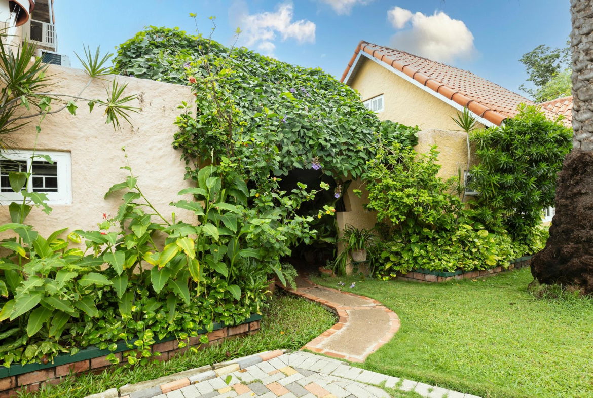 First image of 8-3 Hillcrest Avenue in Kingston 6, St. Andrew, Jamaica - property is For Sale