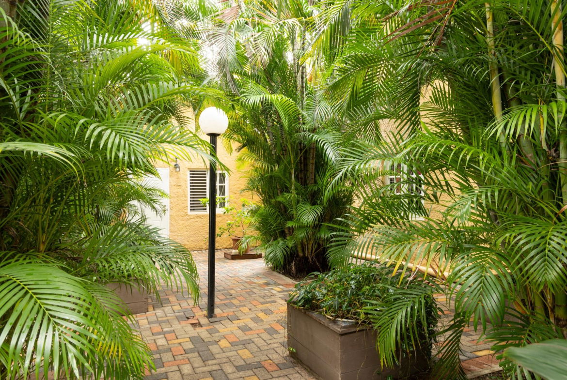 Third image of 8-3 Hillcrest Avenue in Kingston 6, St. Andrew, Jamaica - property is For Sale