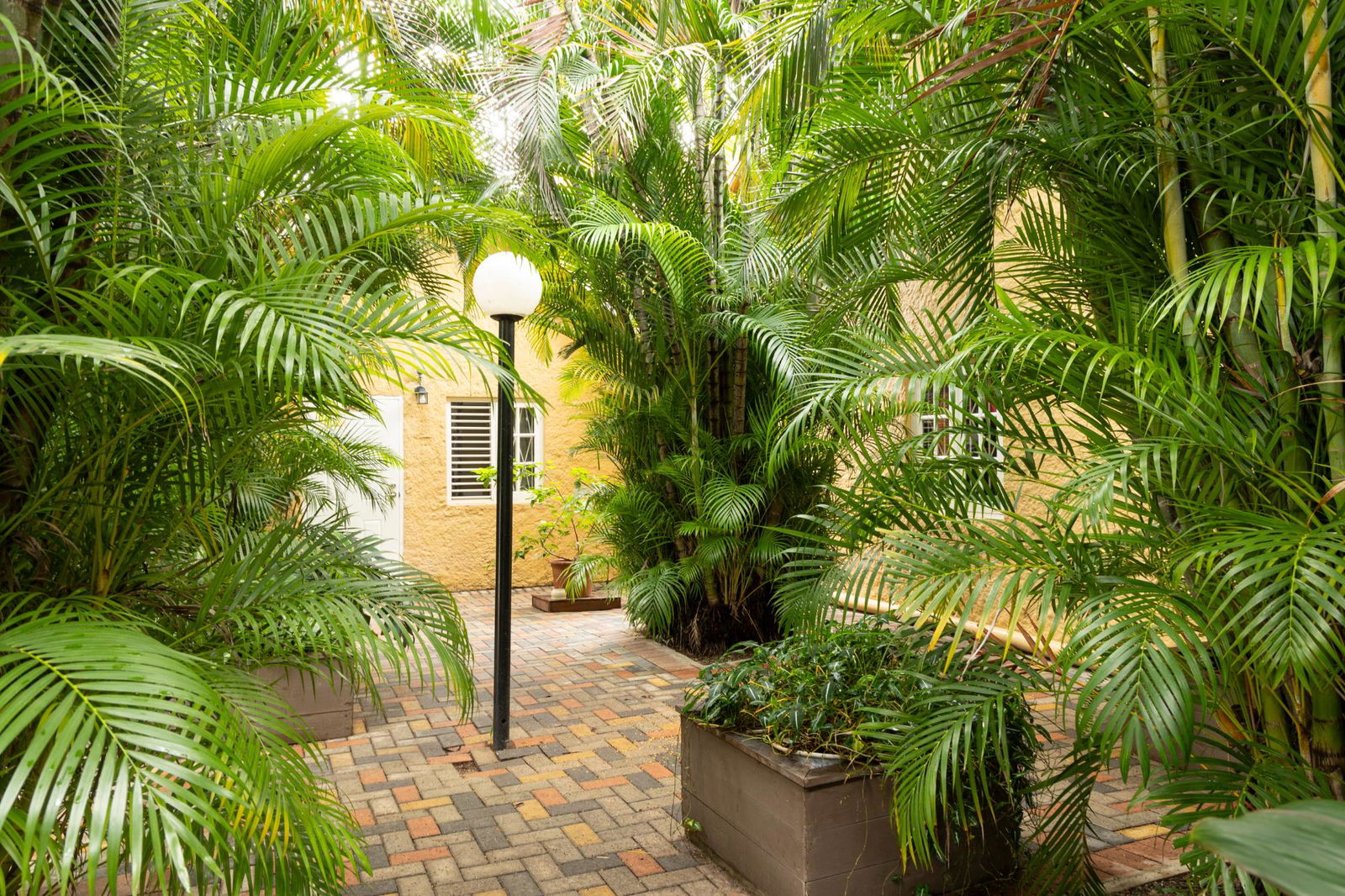 Spacious-1-Bedroom-Loft-for-Sale-at-Hillcrest-Village-St.-Andrew Third image of 8-3 Hillcrest Avenue in Kingston 6, St. Andrew, Jamaica - property is For Sale