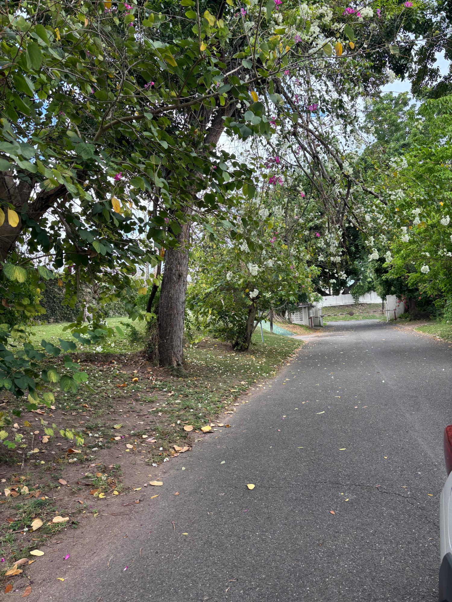 Eleventh image of 529-1a Norbrook Road Airdrie in Kingston 8, St. Andrew, Jamaica - property is For Rent