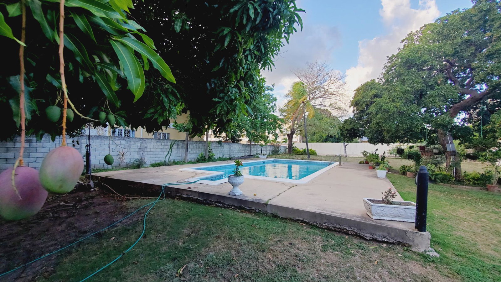 Thirtieth image of 16-11 Surbiton Road in Kingston 10, St. Andrew, Jamaica - property is For Rent