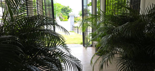 Fourth image of B-2f Woodlawn Ave in Kingston 19, St. Andrew, Jamaica - property is For Rent