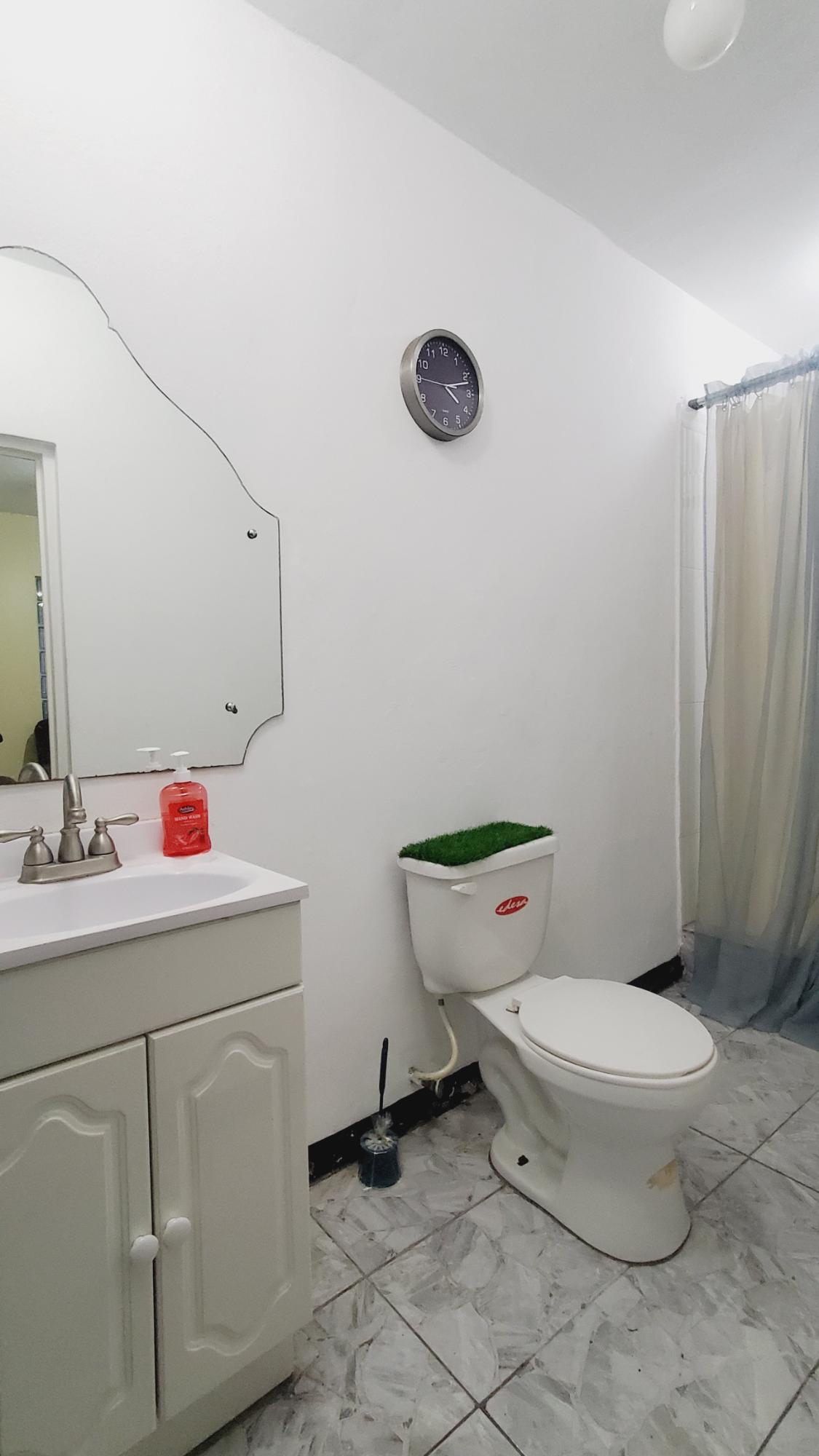 Thirteenth image of th 9-3a Waterloo Avenue in Kingston 10, St. Andrew, Jamaica - property is For Rent