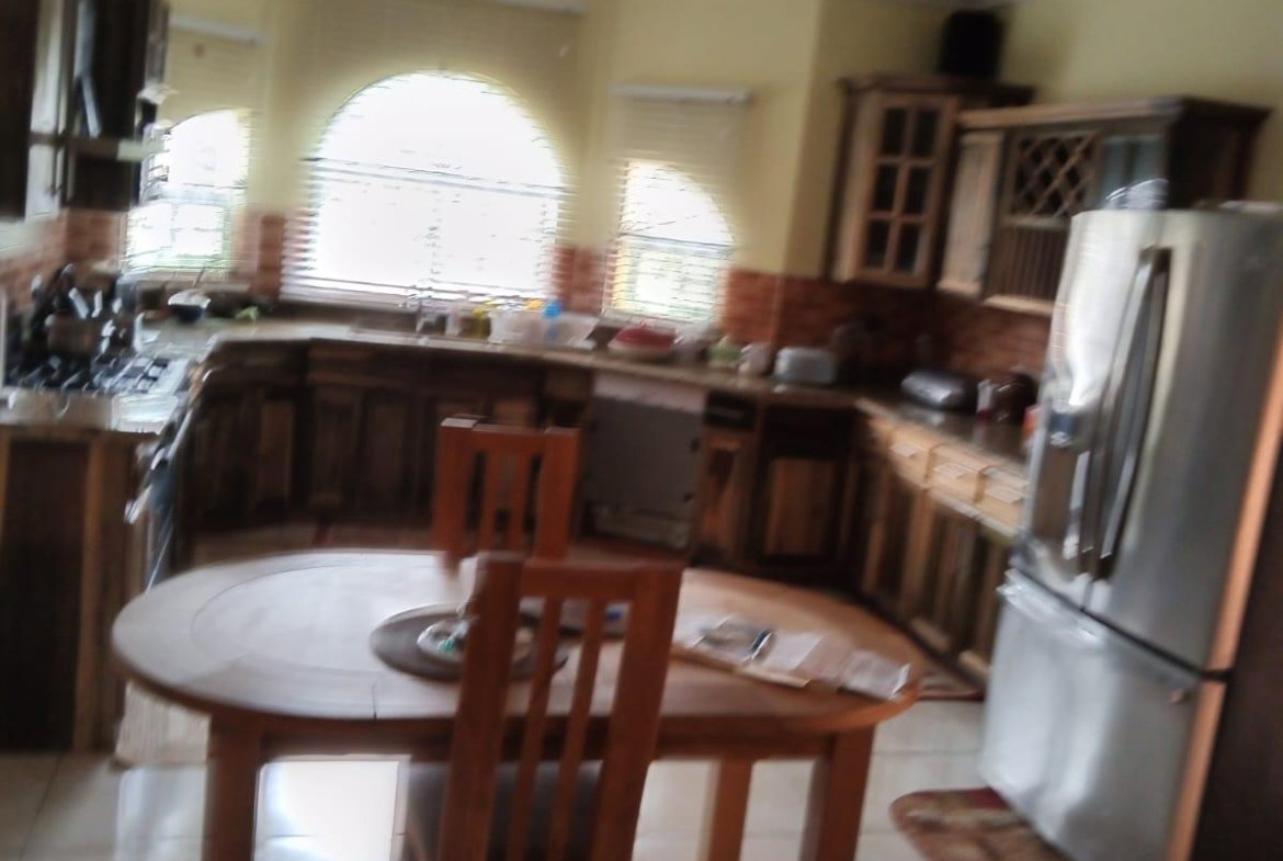 Twelfth image of Lot 1 Kendal Road Battersea Man in Battersea, Manchester, Jamaica - property is For Sale