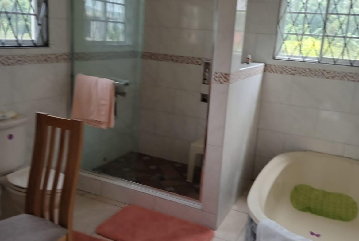 Fourth image of Lot 1 Kendal Road Battersea Man in Battersea, Manchester, Jamaica - property is For Sale
