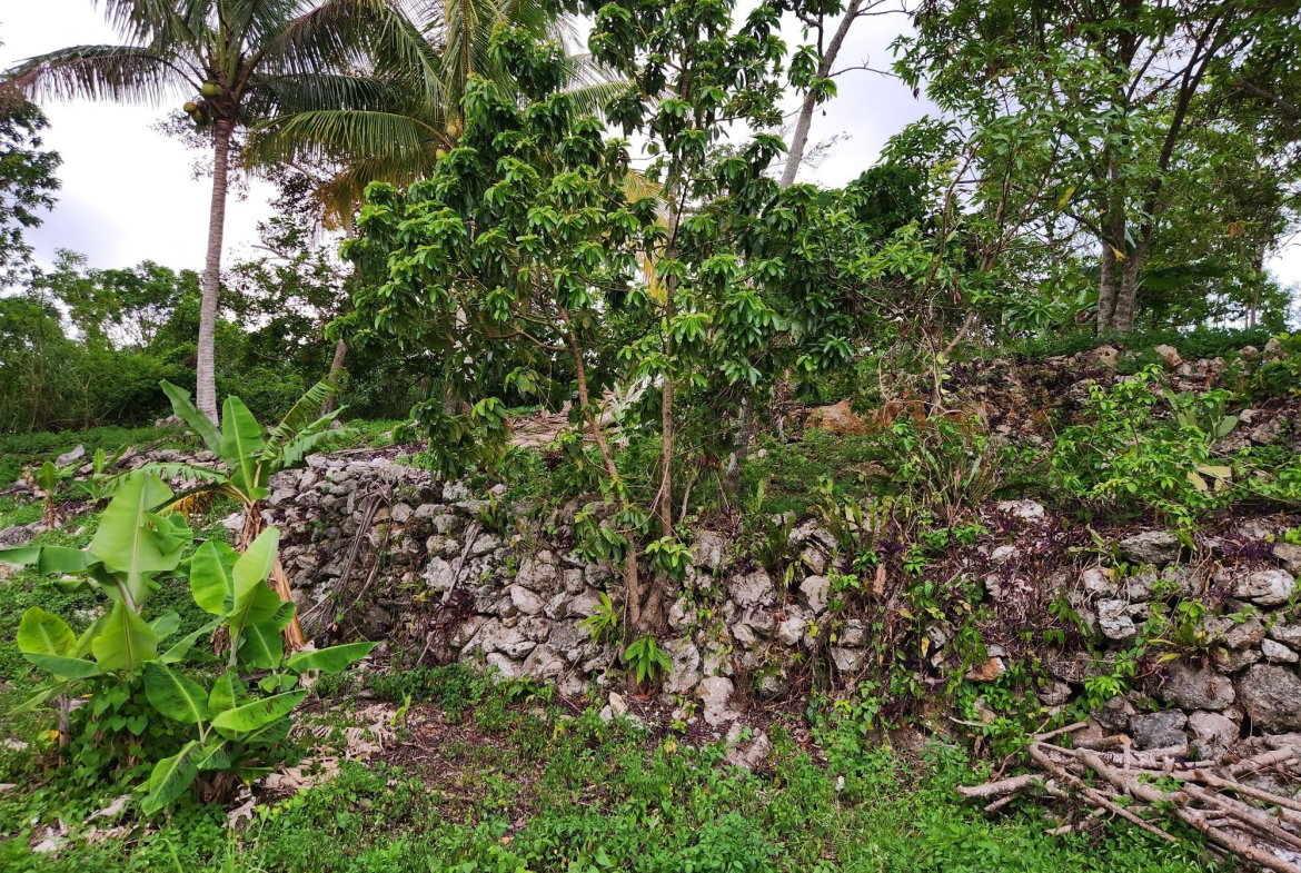 Seventeenth image of 14 Ciboney Drive in Hanbury, Manchester, Jamaica - property is For Sale