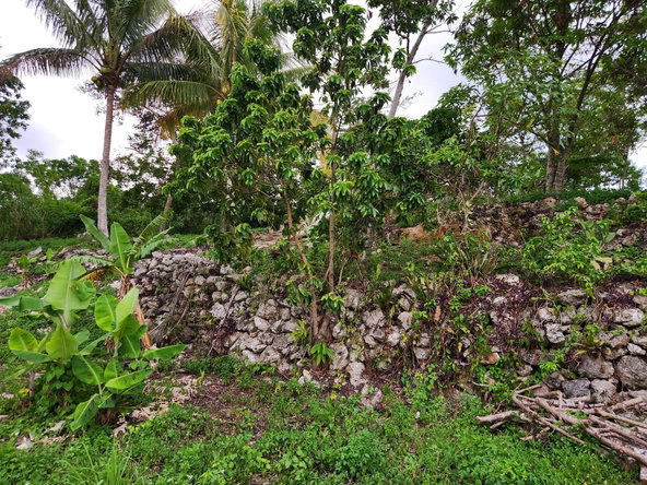 Seventeenth image of 14 Ciboney Drive in Hanbury, Manchester, Jamaica - property is For Sale