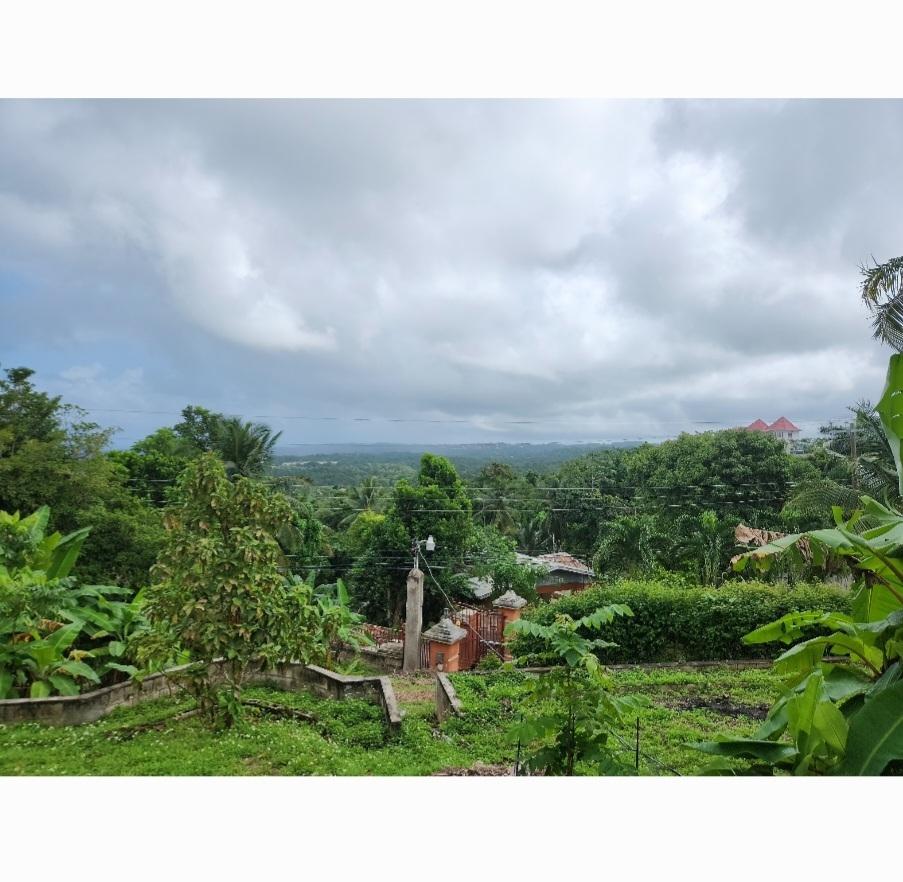 Sixth image of Breadnut Hill in Breadnut Hill, St. Ann, Jamaica - property is For Rent